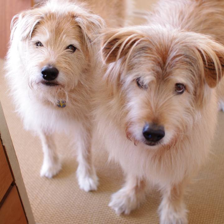 Cd5c1dc5 0bfa 4b31 acc6 6d466f4be9b0 1554073068270