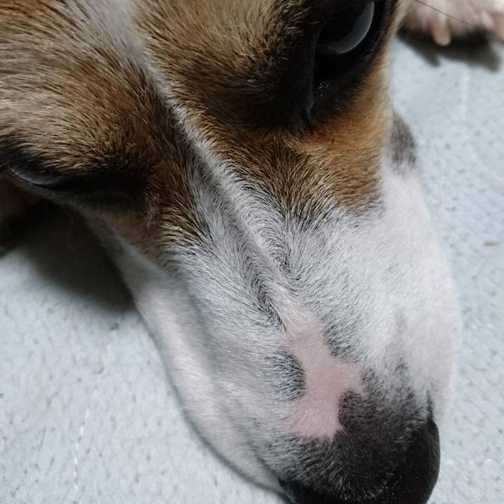 Cd5c2d24 3dd3 42dc a620 2a305457c189 1572745302629