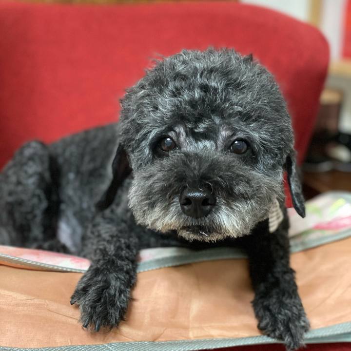 Cd5c6c97 319e 4937 8f78 ab33e0d11a8d 1625495717620