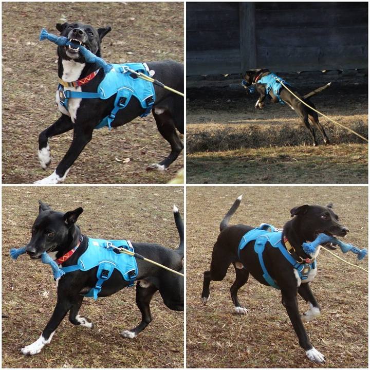 Cd5c6f29 a6e2 4c31 a36c c3c0172c758b 1613953758565