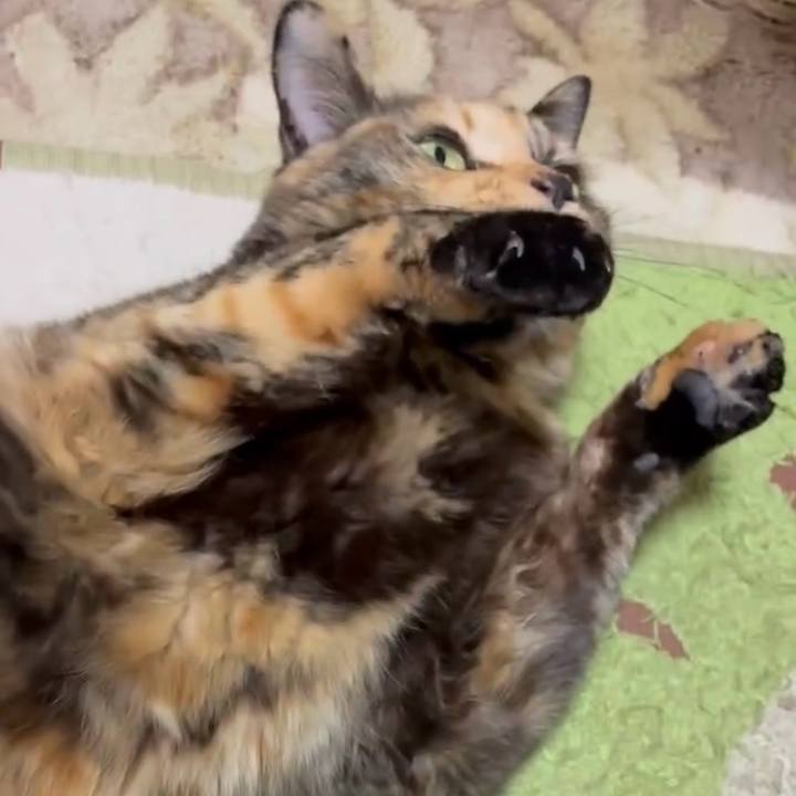 Cd5c8dbb 4a93 45ce ae37 4c4a8cac571c 1771190052696