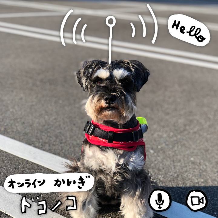 Cd5c95cf 7032 4858 9b86 366b0f2e1112 1590787009655