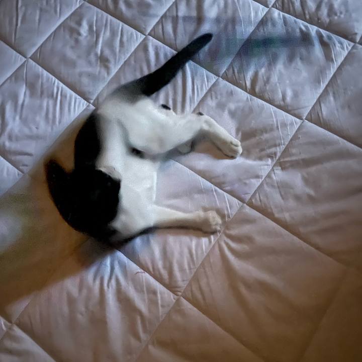 Cd5c9af5 b4b8 4ca9 9599 84ccb6f8c563 1684786583209