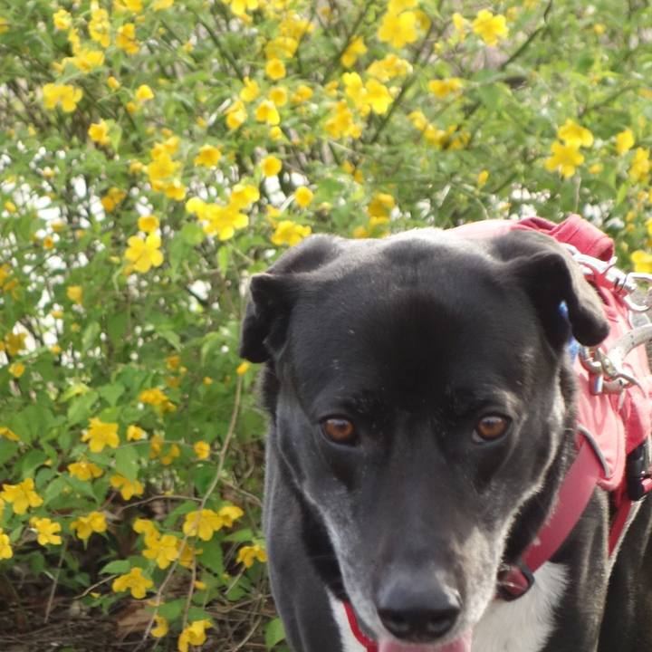 Cd5cb7cc b10f 418f 89a2 112da82544ae 1680139461621