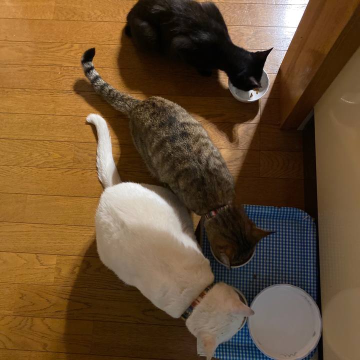 Cd5cdf61 9d74 44e0 8779 7f51c90dd208 1622110377164