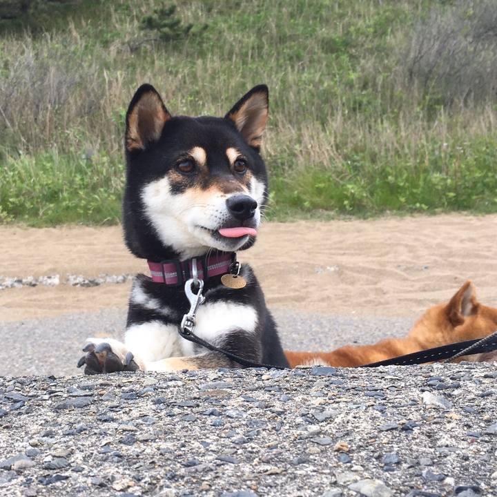 Cd5ceb2f cb8e 49e0 ad3b e9c4acaa45ad 1589295548479