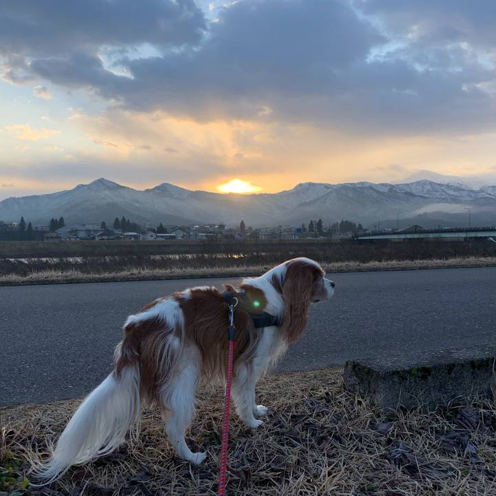 Cd5d1df7 e7cc 4287 b54a e9adf6cc9e08 1580856811411