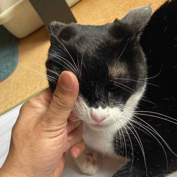 Cd5d5367 4d20 4b3d 8bca cf755cbc8f7d 1680521382848