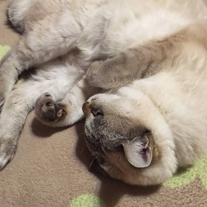 Cd5dbe68 d3eb 4860 b9ea 1e1a6ae8a470 1544997619279