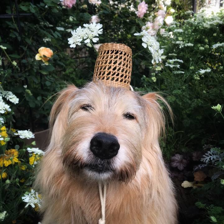 Cd5dc9d5 ea9d 4f75 8569 1efa790cfadc 1652248148271