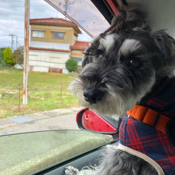 Cd5dda06 9030 49a6 8013 9e9fe0faf538 1702191226616