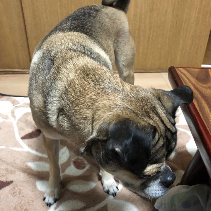 Cd5ddd5f 75db 4047 a03b 89c6441477fb 1514883728408