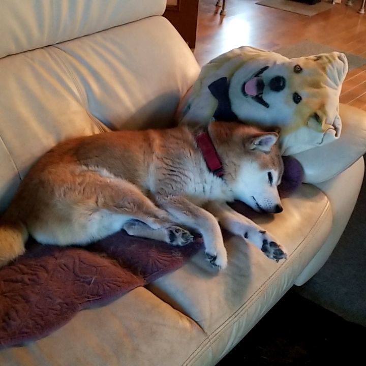 Cd5dec0a 5952 443e b09f bfa28c62c691 1754967968410