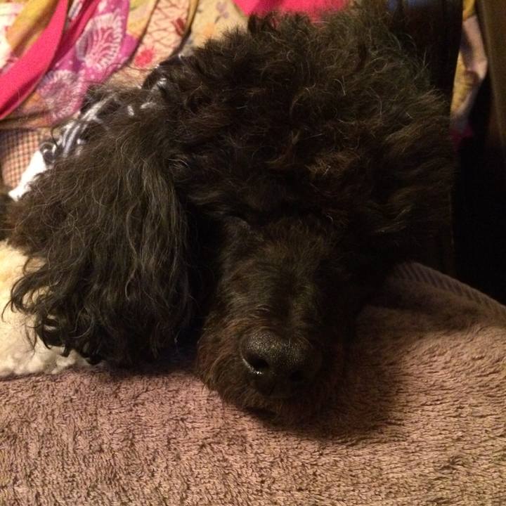 Cd5e0ee8 8226 44a0 a747 7ea95c205ec1 1510146356176