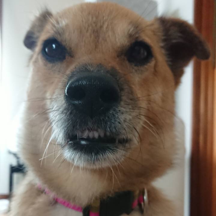 Cd5e435e 5f6f 4c7b 85a4 0986dd8e0752 1630848315495