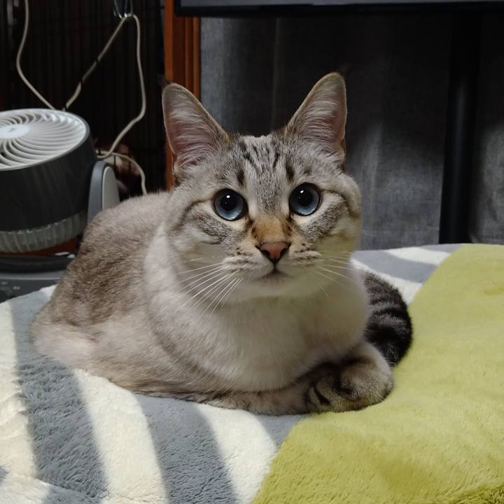 Cd5e505d 23d0 4e69 b2eb 5e513381a7c4 1641470518392