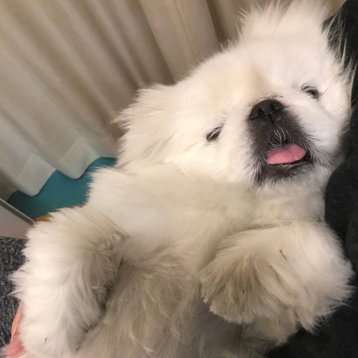 Cd5e5943 703f 4e87 820b 61b3858ee648 1511093075769