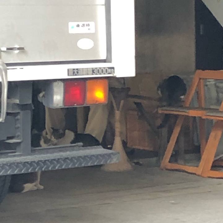 Cd5e85cb 3aff 4506 bf2f 1263e79d5c7f 1553677904140