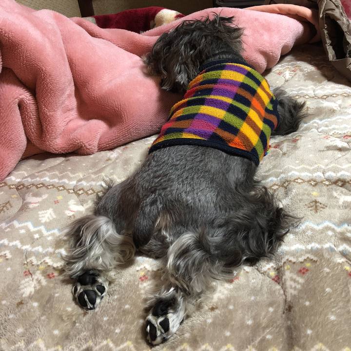 Cd5ed8bf 7240 4dd1 b1e1 77128d656b80 1541078544968