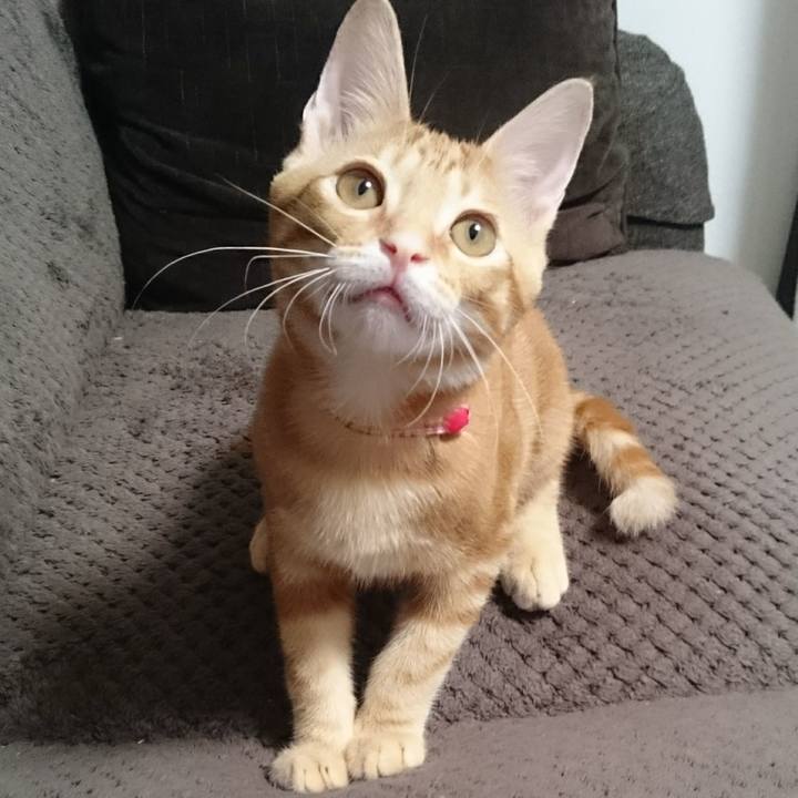 Cd5edaaf 7241 499a bab8 4dcf34a8242b 1557063579237