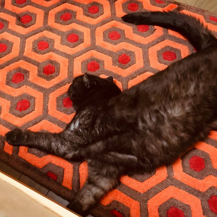 Cd5eeff6 1673 4149 be8e 6739139362e4 1571103508791