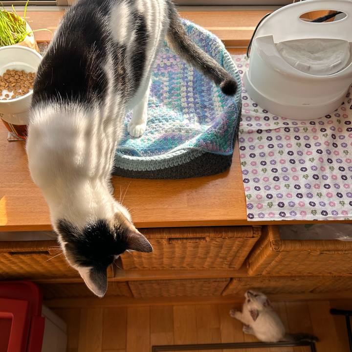 Cd5ef233 2861 4de0 9fdf e243575f8f3f 1722047003247