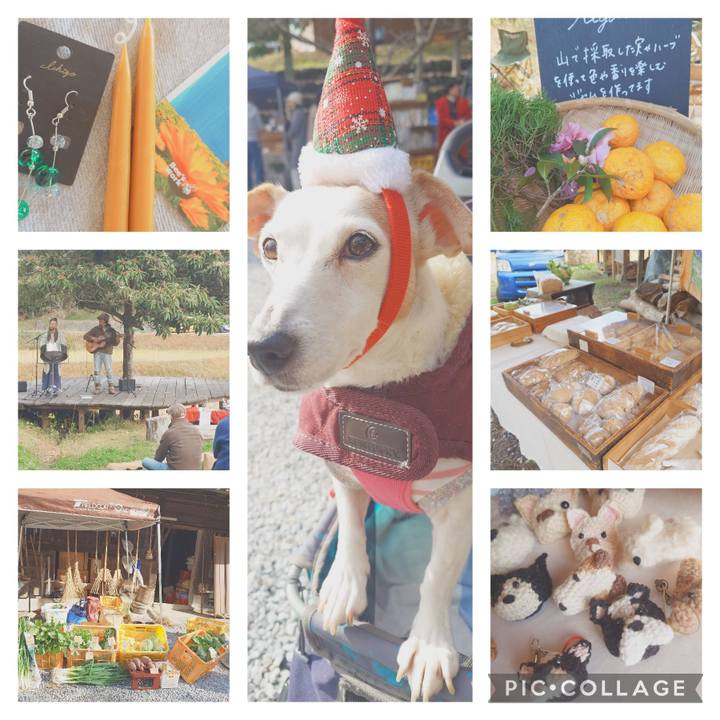 Cd5ef5f7 de97 433c ba06 988fa356703a 1766449470183