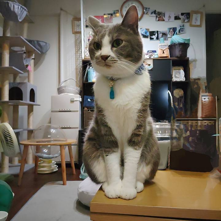 Cd5efe63 eca3 4ba2 bb7b 2094358ef489 1724935077157