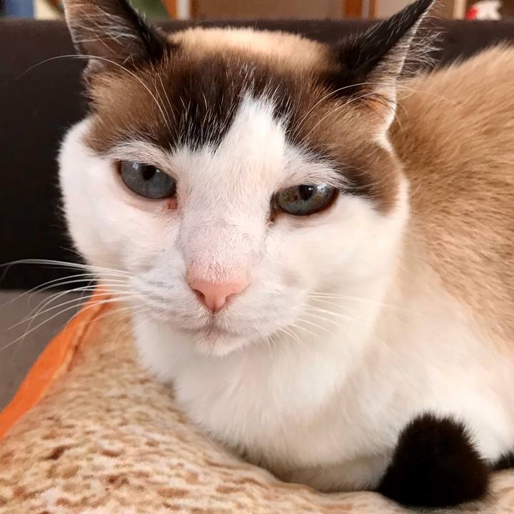 Cd5f0bde 7555 4608 bead e19b6d8b4f5f 1586948277799