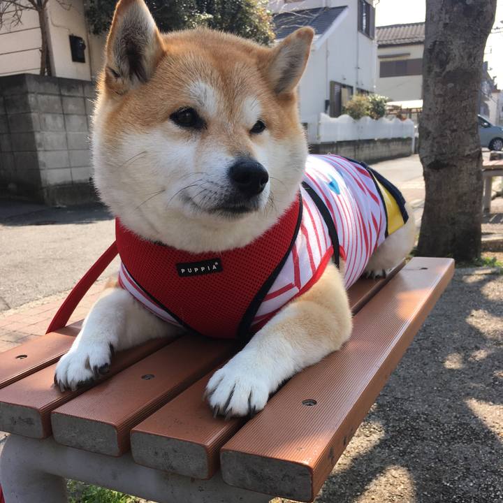 Cd5f228b e884 404a 8c88 d840eaf7bc8c 1584588518307