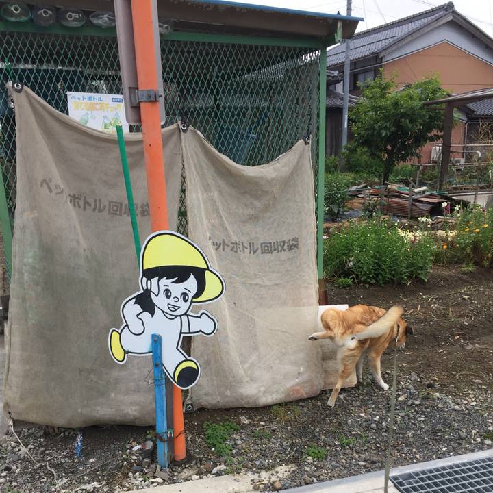 Cd5f2670 3370 44df a47f 2b026c96c18b 1559989670583