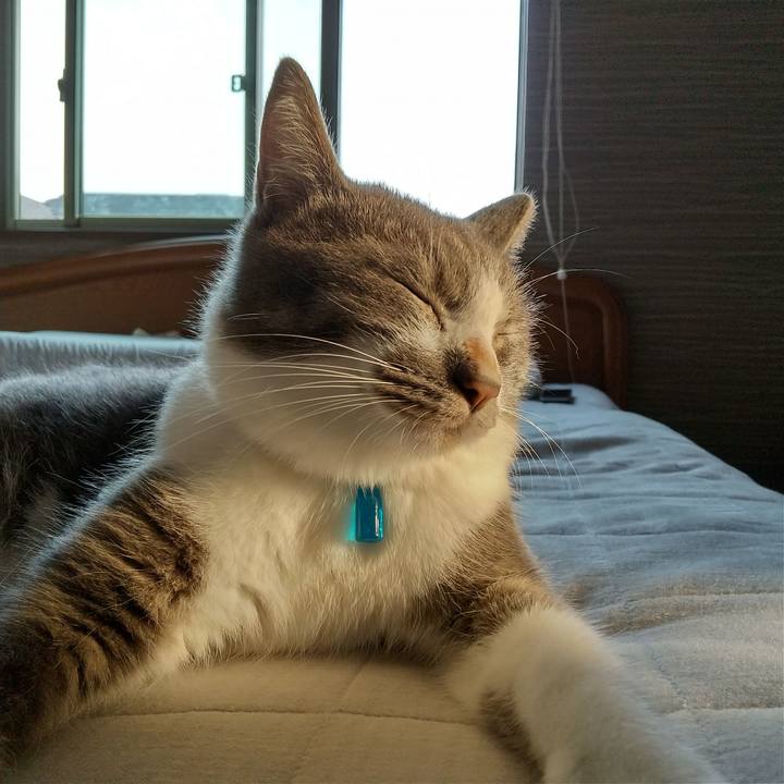 Cd5fac6e b03a 4c38 b349 c2fdb3f6861d 1601677713551