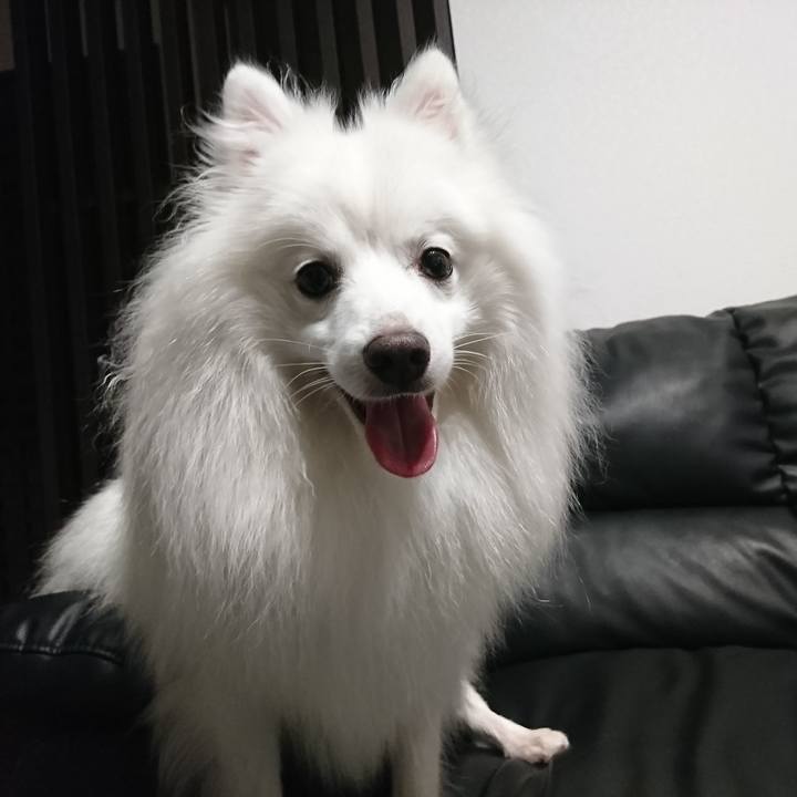 Cd5fe25d 47af 4189 ba4c 37571fef0a05 1592658082336