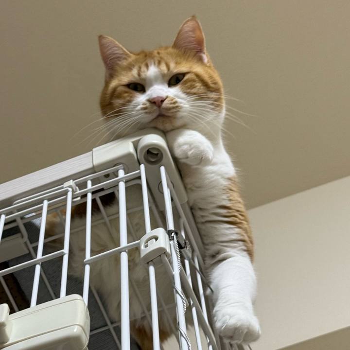 Cd5ffcc3 aadd 44aa b6b5 fd6d3fc07016 1767154044119