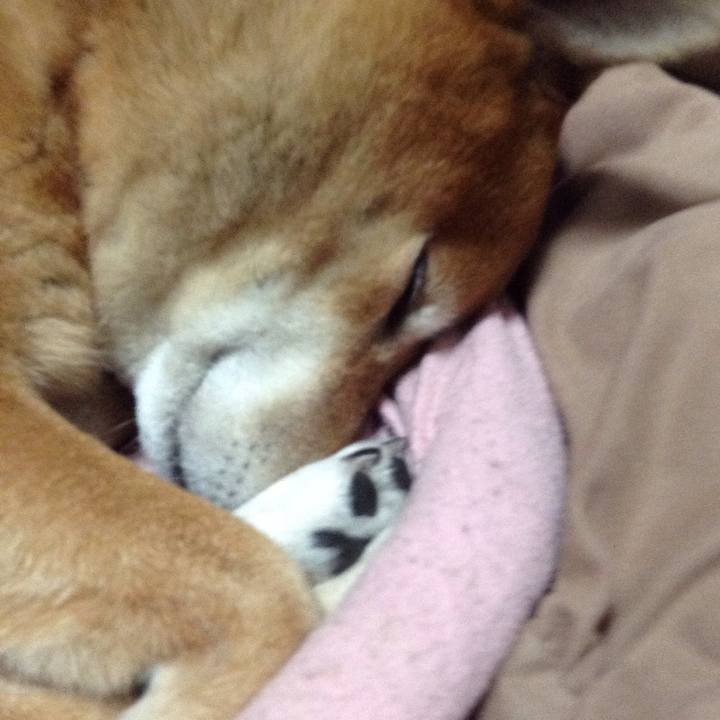 Cd60324e bd02 431a a5d2 f0dd0d3e3ba1 1546255380043