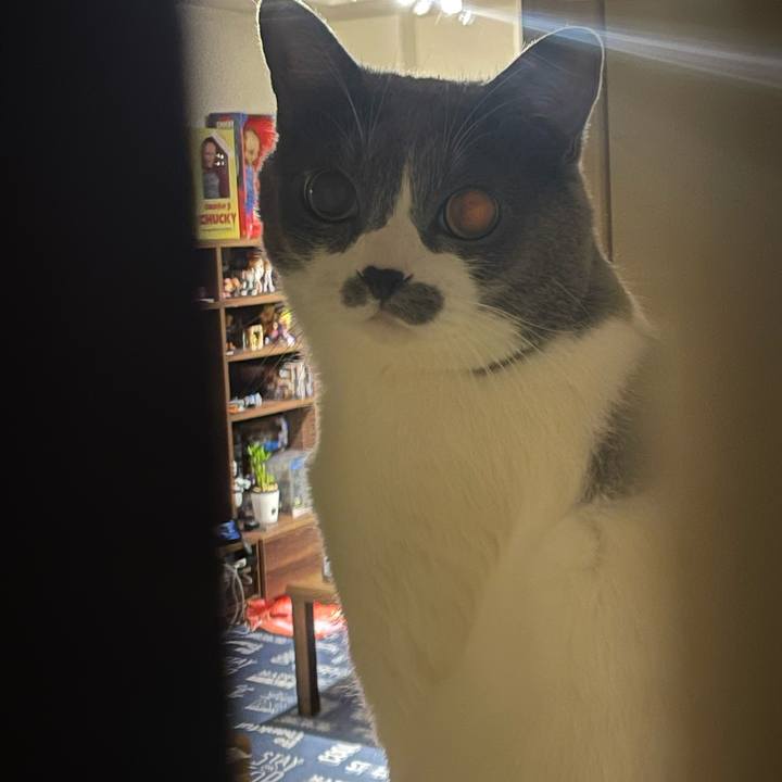 Cd6038de 767c 4c67 b855 991f119391ee 1727447709796