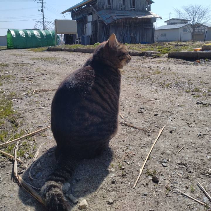 Cd606353 c1ae 4aa0 ac29 5db8442ecf9f 1680139148548