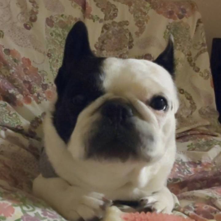 Cd606fd2 fd83 44c5 aaeb 9981af588b19 1634885487367