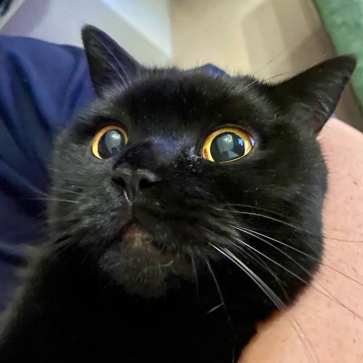 Cd60940a b5ad 4a1b bc4f 65cf68ed1232 1725754790871