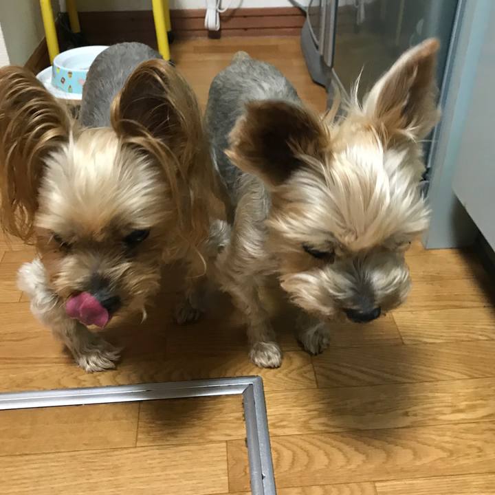 Cd6094a8 6268 4b67 8520 36fcb9633564 1599033935231