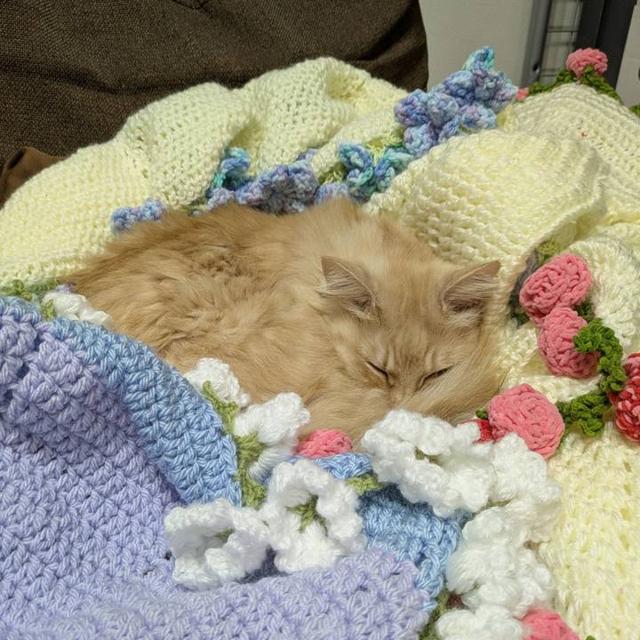 Cd609da6 c4e5 4fa9 8dbd 9881afe6115d 1763999439534