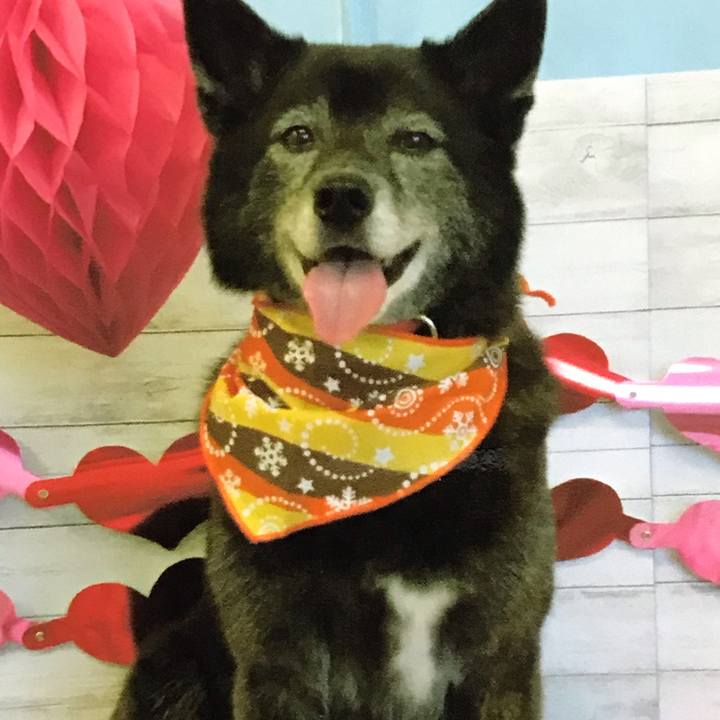 Cd60b378 c0ca 4d4b 8ea1 72d9d7407bc0 1581765774966