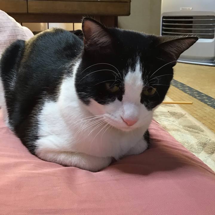 Cd60dad6 a014 4392 8c7a 31e7ce348a3f 1644306788750