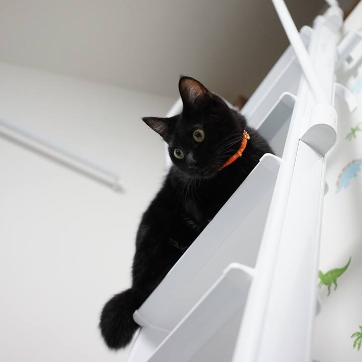 Cd612718 2571 4f05 bb32 d265e7799e98 1538294354233