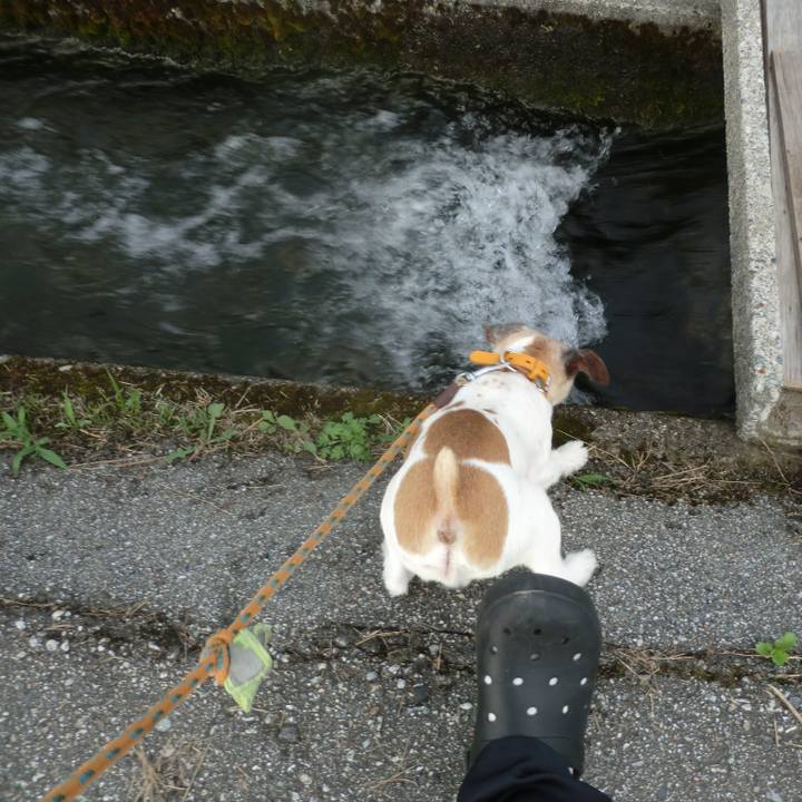 Cd6131ad 337e 4306 8dc4 22948215391f 1563882940606