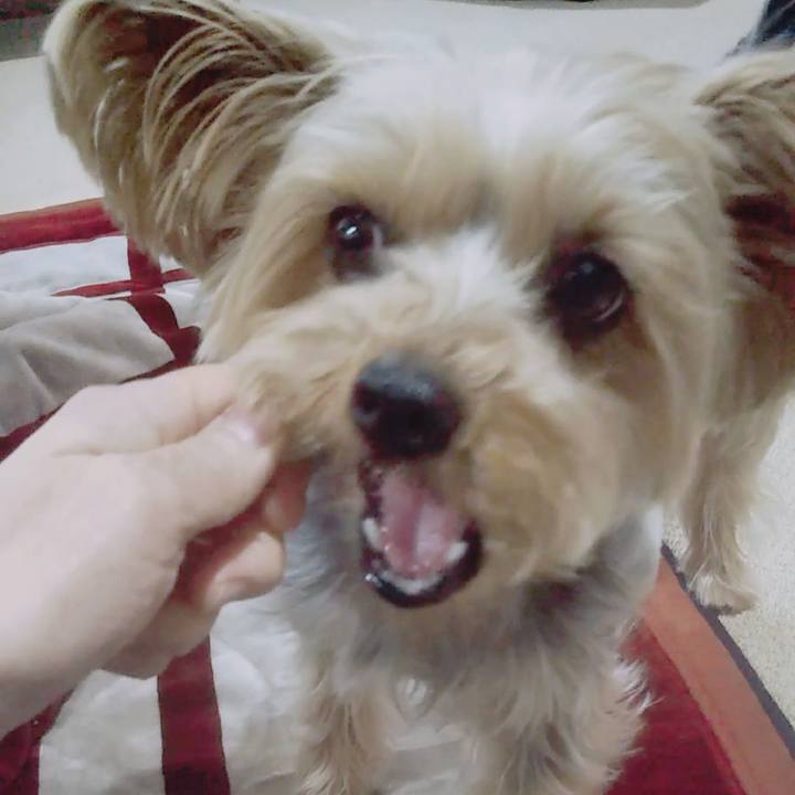 Cd6159ae 3a52 48d6 bfcb 498a4a7e53ce 1646369820918