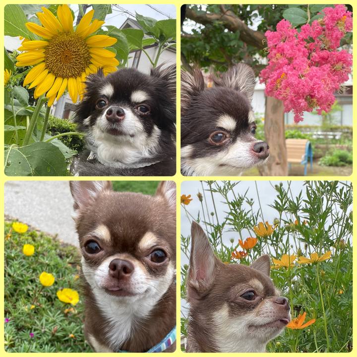 Cd616909 ef0e 46b1 8a18 6f4a3b578901 1659750805859