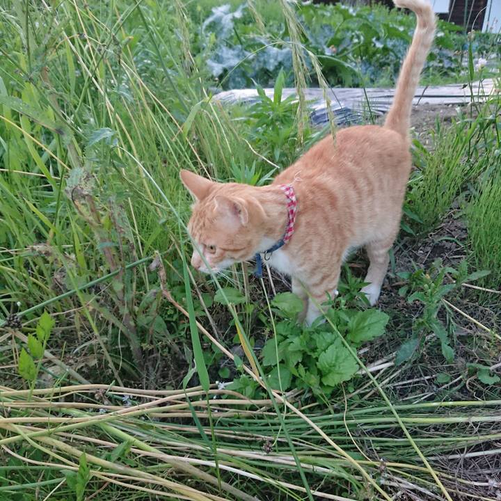 Cd618624 8d01 4fa8 af56 352dd71905e1 1561543099636