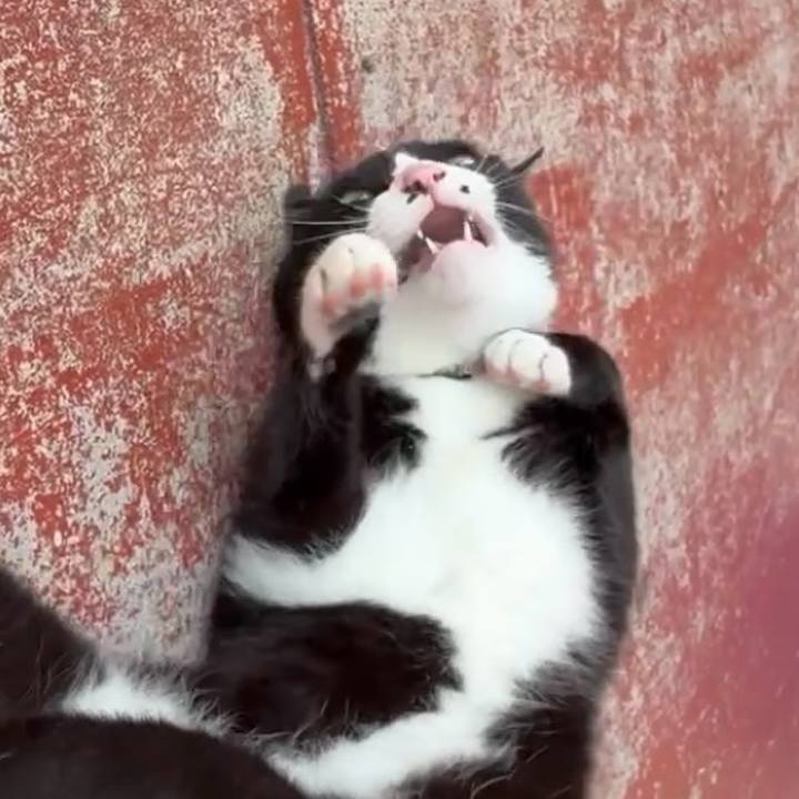 Cd61abc7 c3ee 4e7b 9e79 4ffeafb7ab11 1751343497047