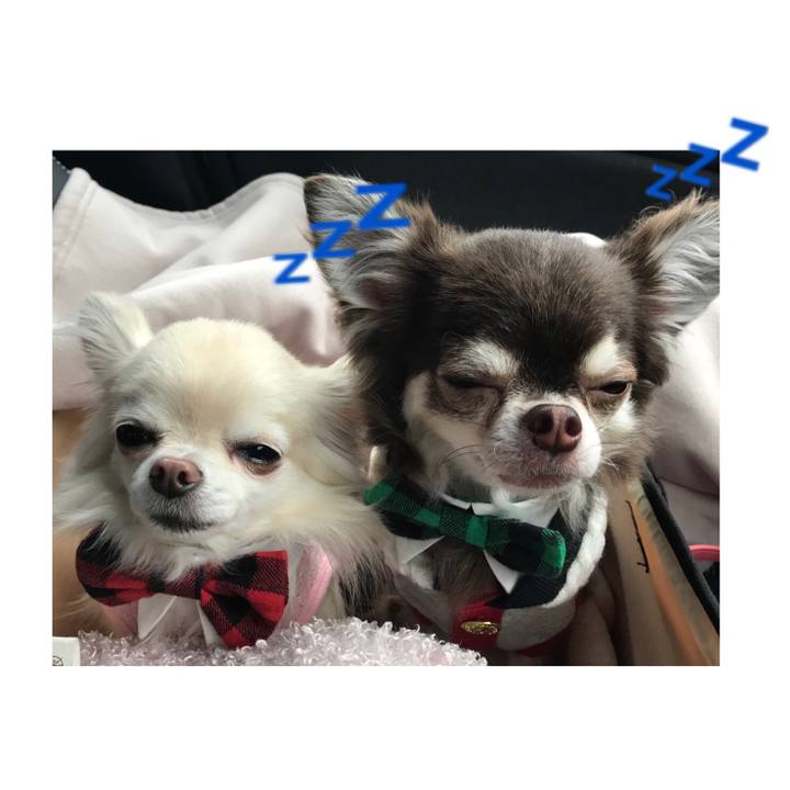 Cd61e78d 43cb 46ff bdfe 55ddc4bfca67 1511352855876